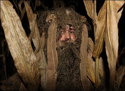 'Corn Man' Gabe Drane peaks out between the cornstalks at the Beacon Hotel's Haunted Corn Maze.